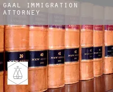 Gaal  immigration attorney