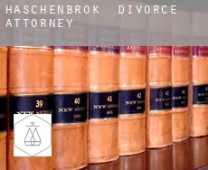 Haschenbrok  divorce attorney