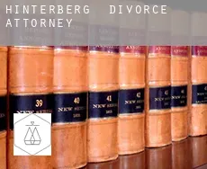 Hinterberg  divorce attorney