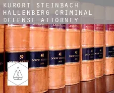 Kurort Steinbach-Hallenberg  criminal defense attorney
