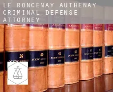 Le Roncenay-Authenay  criminal defense attorney