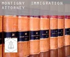 Montigny  immigration attorney