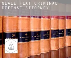 Neale Flat  criminal defense attorney