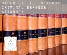 Other cities in Arroyo  criminal defense attorney