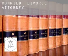 Ronried  divorce attorney