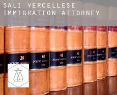 Sali Vercellese  immigration attorney