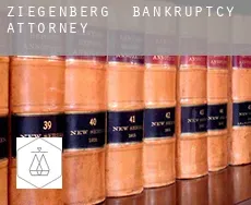 Ziegenberg  bankruptcy attorney