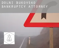 Dolní Bukovsko  bankruptcy attorney