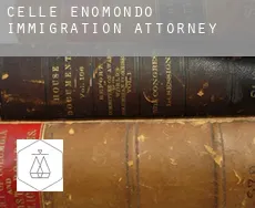 Celle Enomondo immigration attorney