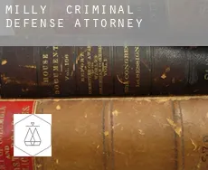 Milly  criminal defense attorney