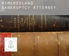 Nimsreuland  bankruptcy attorney
