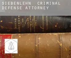 Siebenlehn  criminal defense attorney