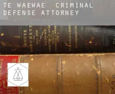 Te Waewae criminal defense attorney