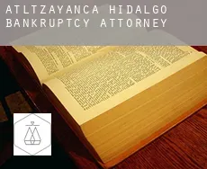 Atltzayanca de Hidalgo bankruptcy attorney