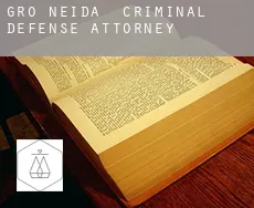 Groß Neida  criminal defense attorney
