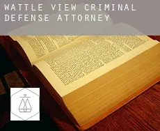 Wattle View  criminal defense attorney