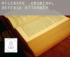 Wilsberg  criminal defense attorney