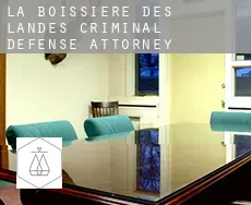 La Boissière-des-Landes  criminal defense attorney