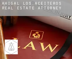 Ahigal de los Aceiteros  real estate attorney