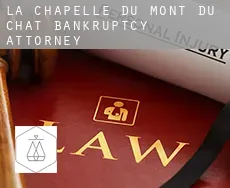La Chapelle-du-Mont-du-Chat  bankruptcy attorney