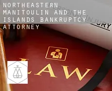 Northeastern Manitoulin and the Islands  bankruptcy attorney