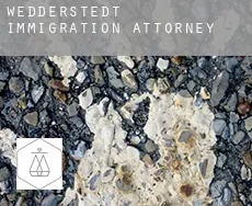 Wedderstedt  immigration attorney
