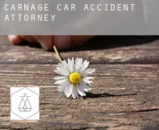 Carnage car accident attorney