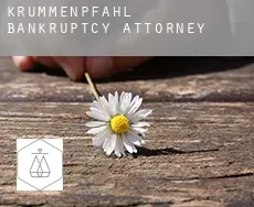 Krummenpfahl  bankruptcy attorney