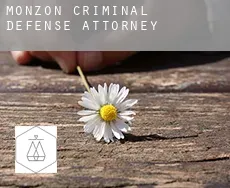 Monzón criminal defense attorney