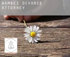 Wambez  divorce attorney
