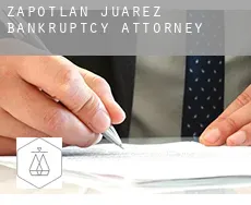Zapotlán de Juárez  bankruptcy attorney