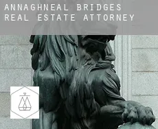 Annaghneal Bridges  real estate attorney