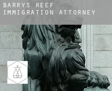 Barrys Reef  immigration attorney