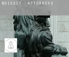 Boissey attorneys