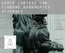 Corte de' Cortesi con Cignone  bankruptcy attorney