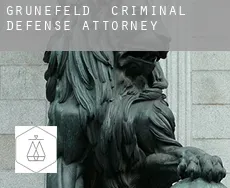 Grünefeld  criminal defense attorney