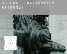 Hollrah  bankruptcy attorney