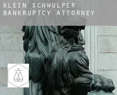 Klein Schwülper  bankruptcy attorney
