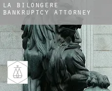 La Bilongére bankruptcy attorney