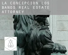 La Concepción de los Baños  real estate attorney