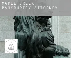 Maple Creek  bankruptcy attorney