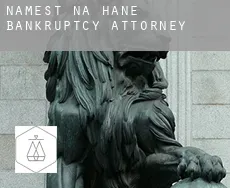 Náměšť na Hané  bankruptcy attorney