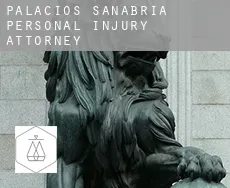 Palacios de Sanabria  personal injury attorney