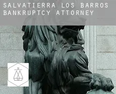 Salvatierra de los Barros  bankruptcy attorney