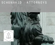 Schönhaid  attorneys
