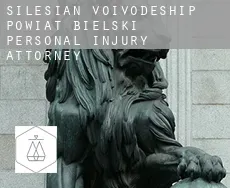 Powiat bielski (Silesian Voivodeship)  personal injury attorney