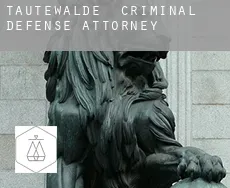 Tautewalde  criminal defense attorney