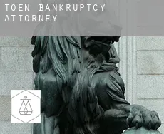 Toén  bankruptcy attorney