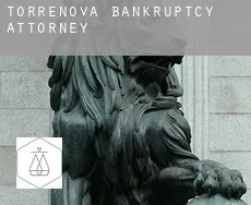 Torrenova  bankruptcy attorney
