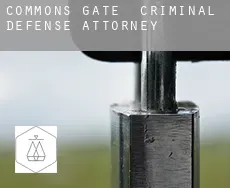 Commons Gate  criminal defense attorney